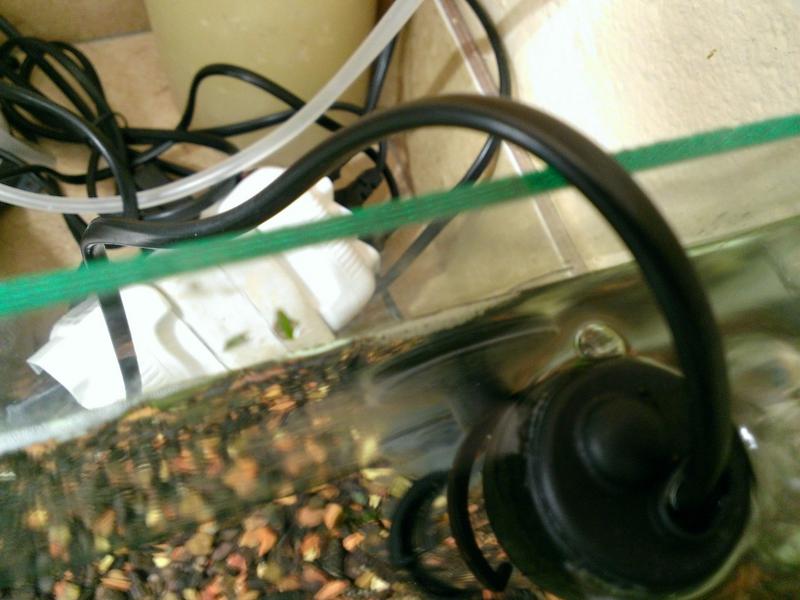 WP_20130718_004.jpg