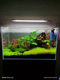 Wazi