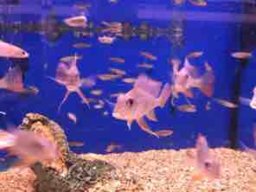 keeganb