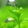 ernstb