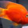 E&C_Aquariums
