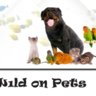 Wild on Pets