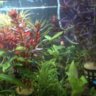 fishfanatic72