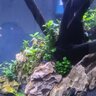 BigTank_Aquariums